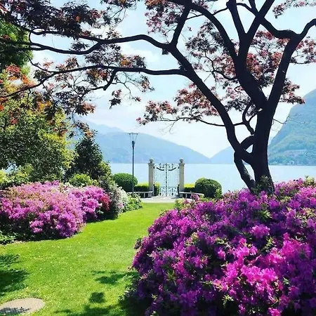 Urban Flat Lugano